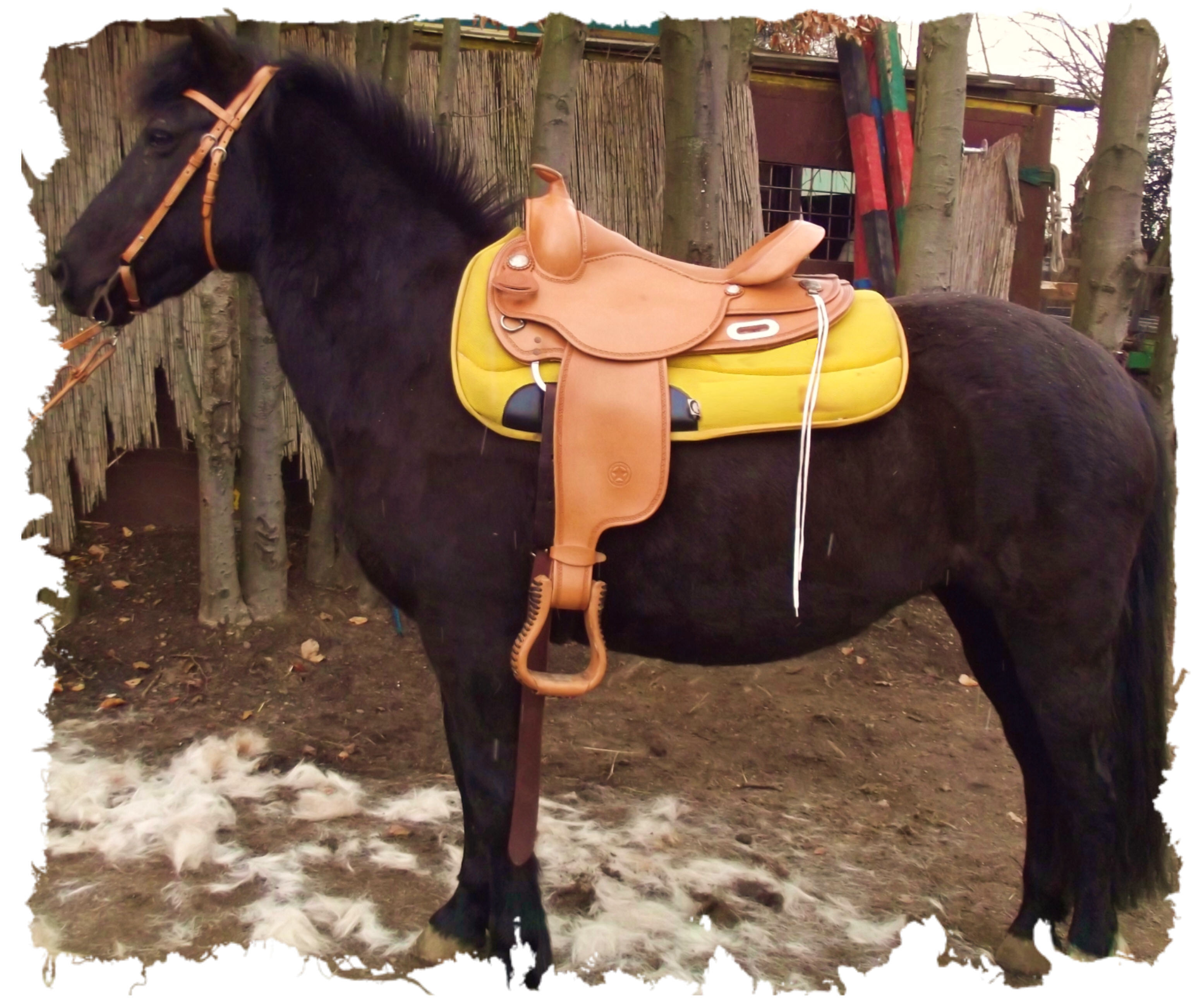 Pony-Westernsattel